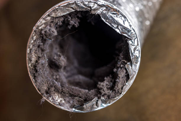 Best Affordable Duct Cleaning Services  in Lago Vista, TX