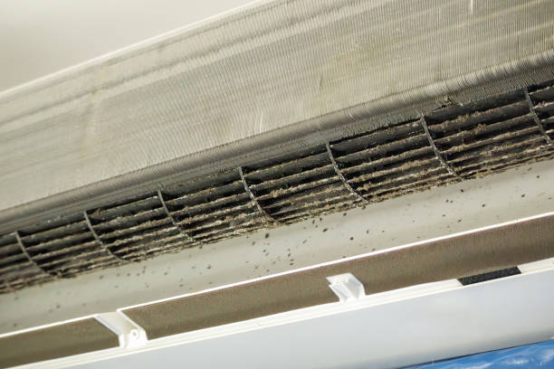 Best Air Quality Test  in Lago Vista, TX